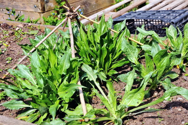 130502_d300s_027-medium