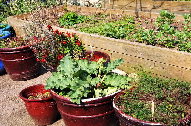 130502_d300s_030-medium