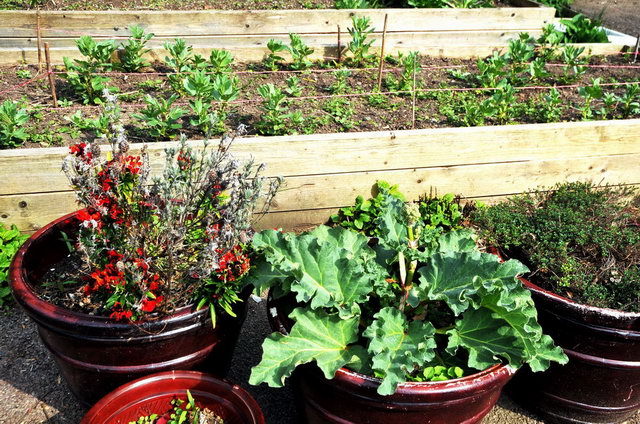 130502_d300s_032-medium