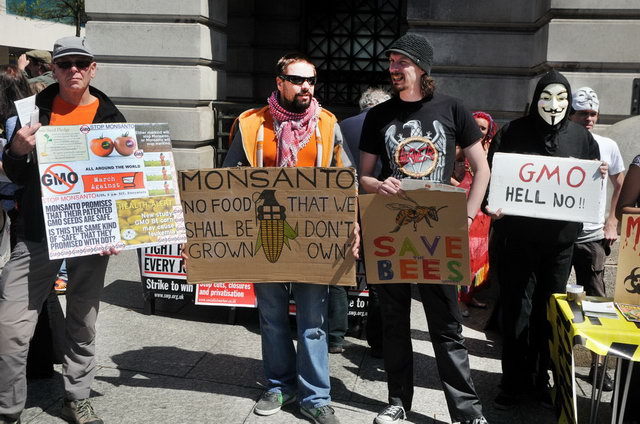 130525_d300s_014-medium