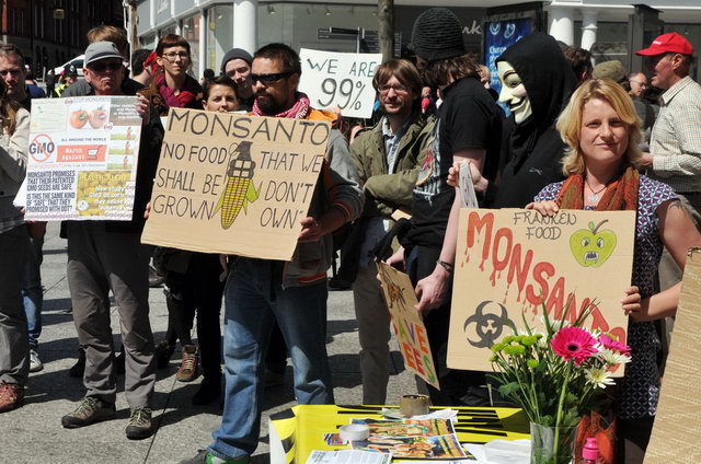 130525_d300s_064-medium