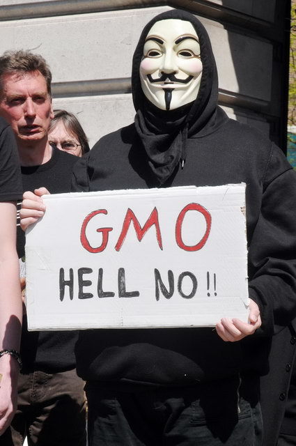 130525_d300s_075-medium