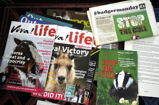 130901_d300s_289-medium