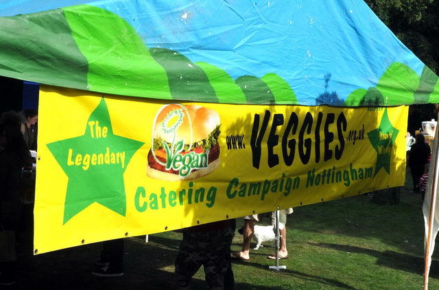 130901_d300s_313-medium